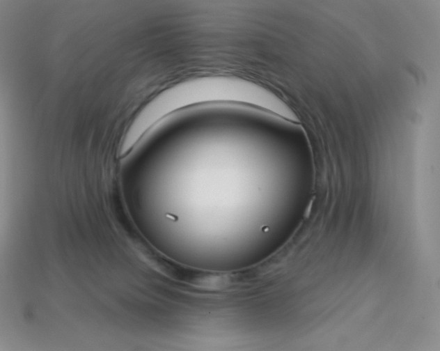 X0000113920084200910090945