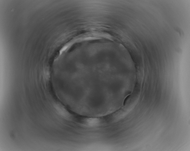 X0000113920085200910090945