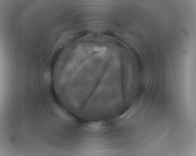 X0000113920086200910090945