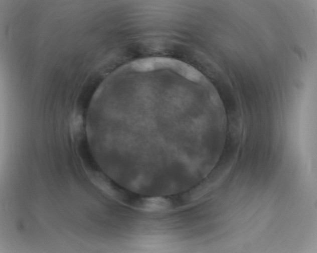 X0000113920087200910090945