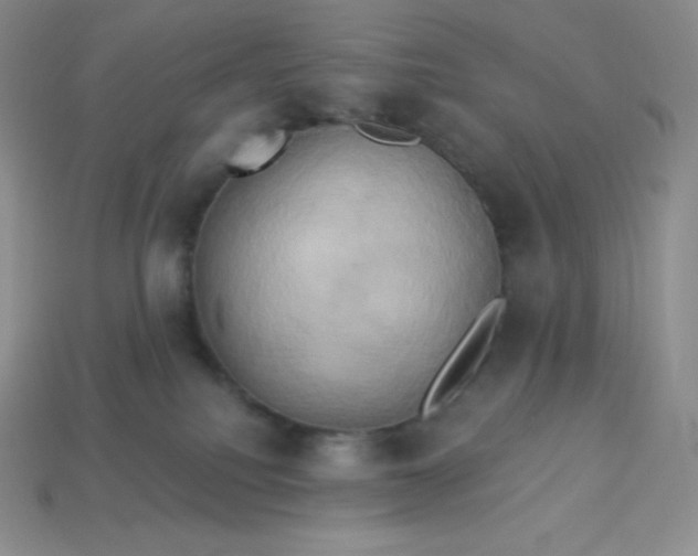 X0000113920088200910090945