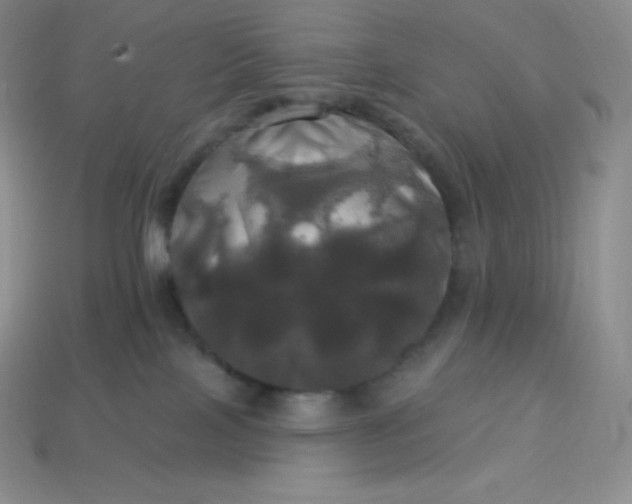 X0000113920089200910090945
