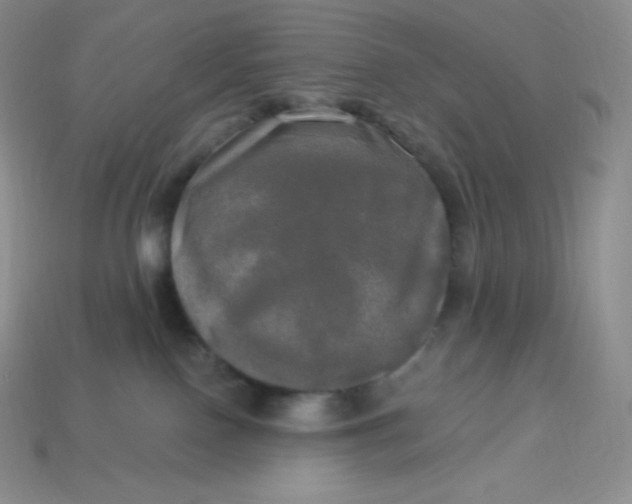 X0000113920090200910090945
