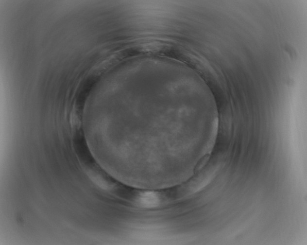 X0000113920091200910090945