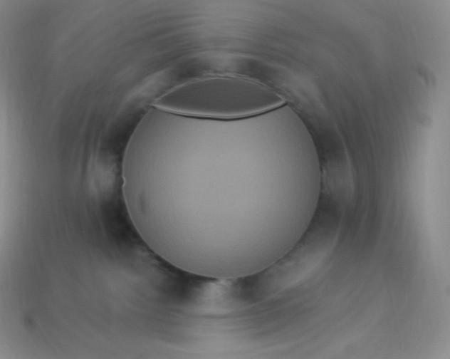 X0000113920092200910090945