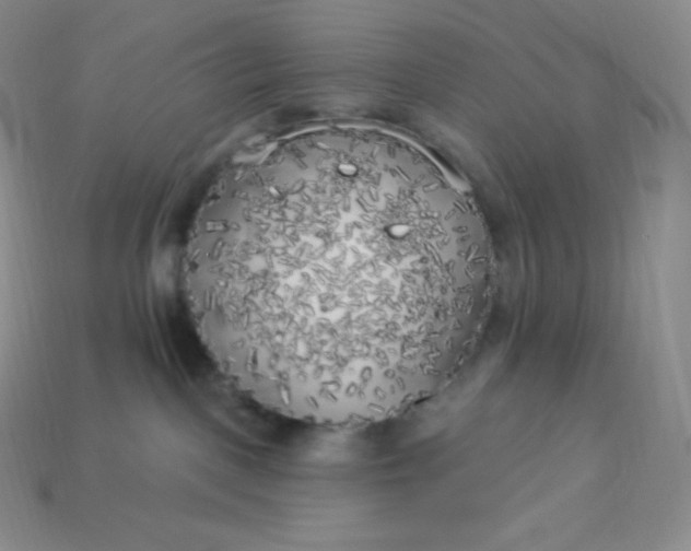 X0000113920093200910090945