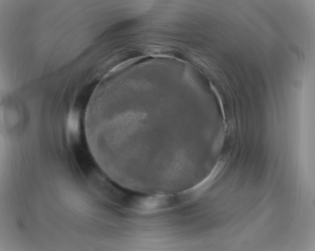 X0000113920094200910090945