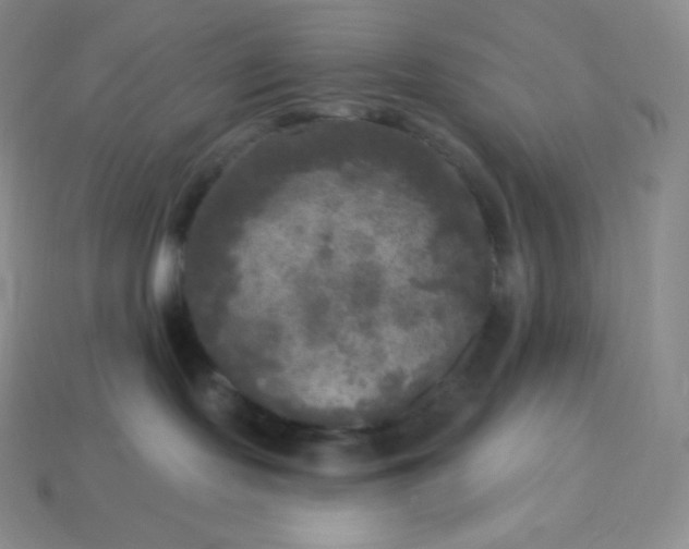 X0000113920095200910090945