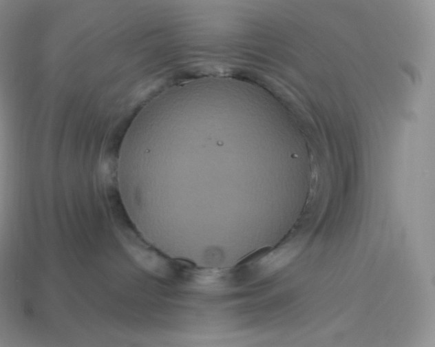 X0000113920096200910090945