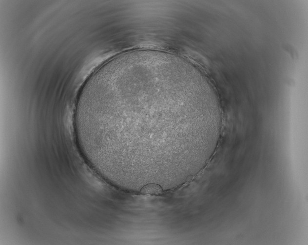 X0000113920098200910090945