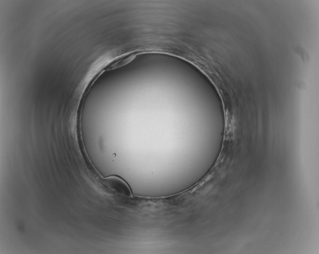 X0000113920099200910090945