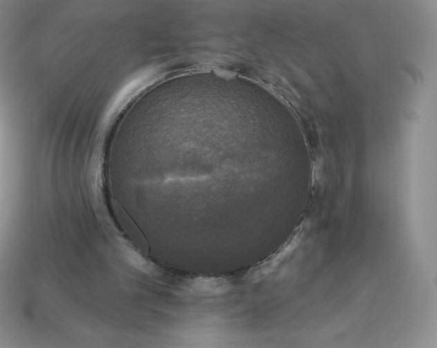 X0000113920101200910090945