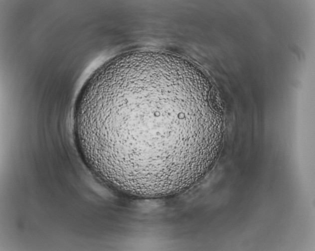 X0000113920102200910090945