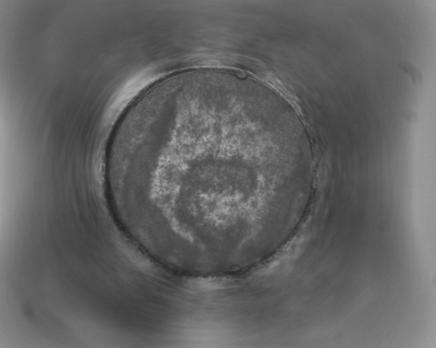 X0000113920103200910090945