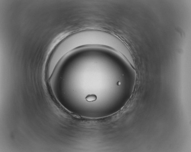 X0000113920104200910090945