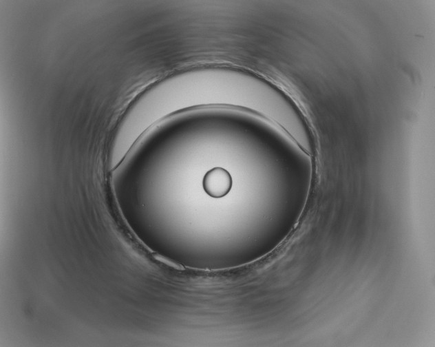 X0000113920105200910090945