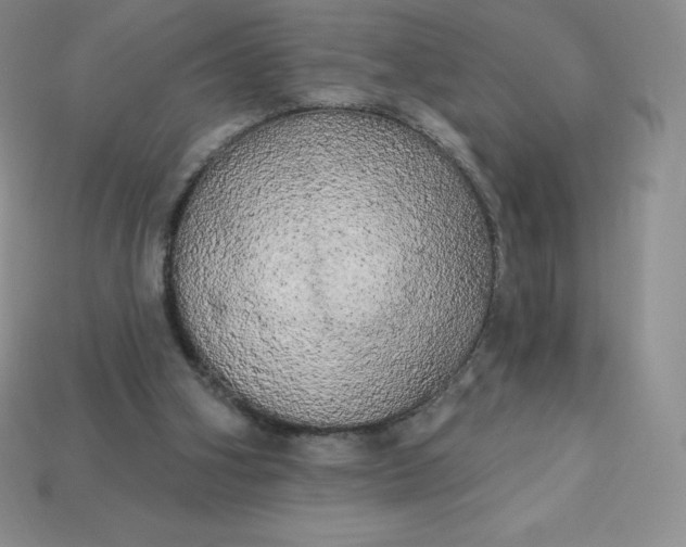 X0000113920106200910090945