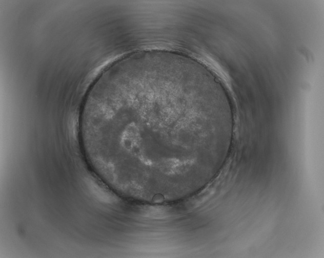 X0000113920107200910090945