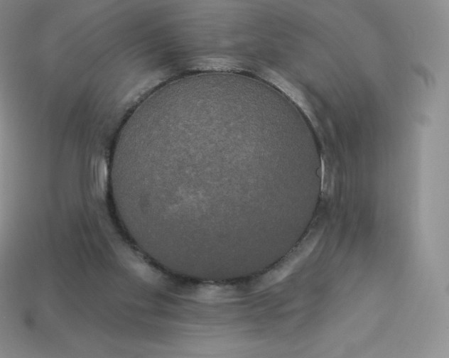 X0000113920109200910090945