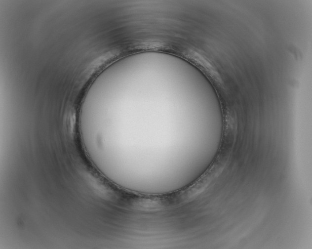 X0000113920110200910090945