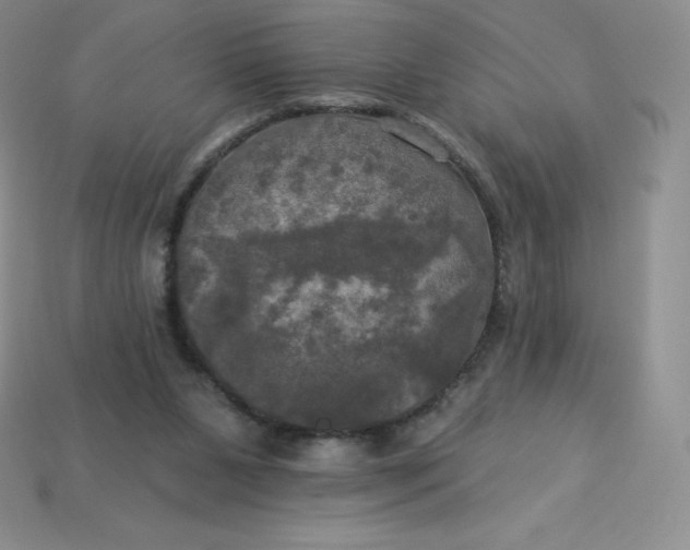 X0000113920111200910090945