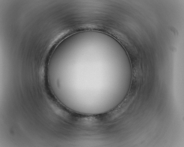 X0000113920112200910090944