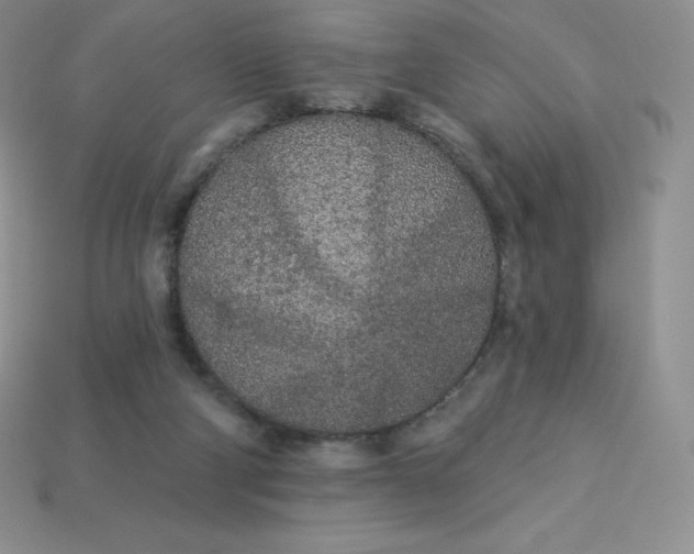 X0000113920114200910090944