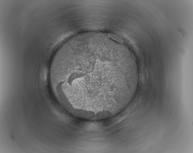 X0000113920115200910090944