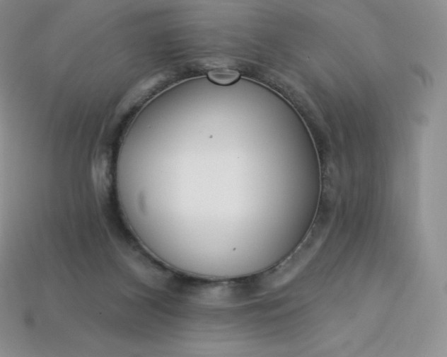 X0000113920116200910090944
