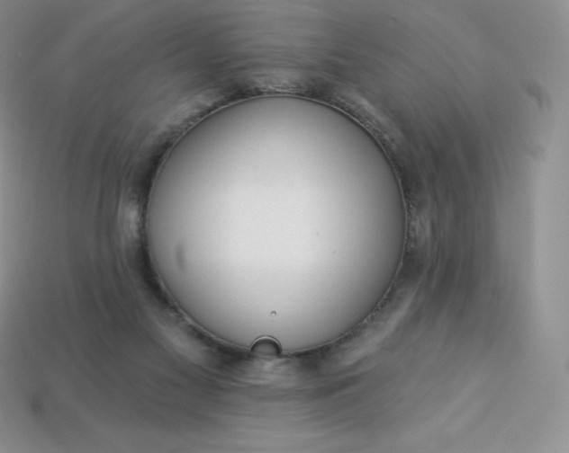 X0000113920117200910090944