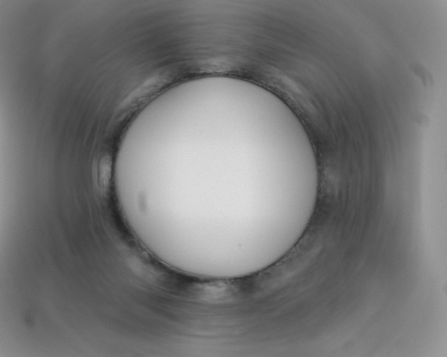 X0000113920118200910090944