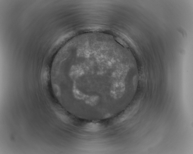 X0000113920119200910090944