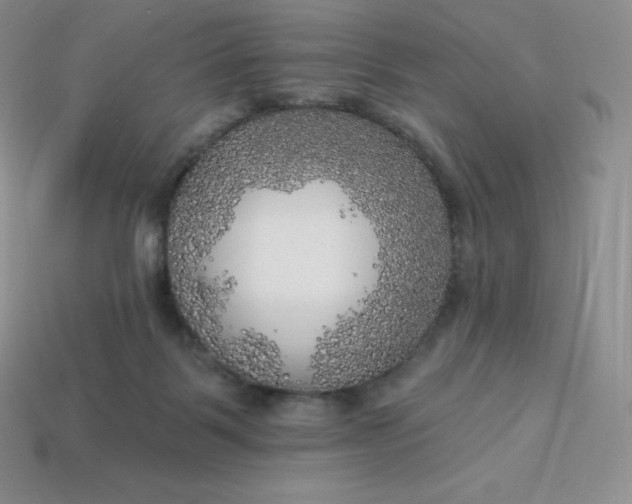 X0000113920123200910090944