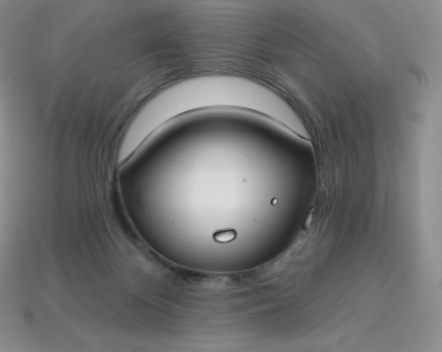 X0000113920124200910090944