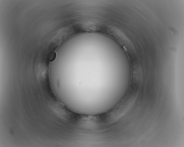 X0000113920125200910090944