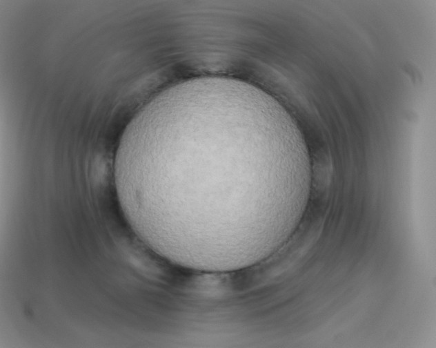 X0000113920126200910090944