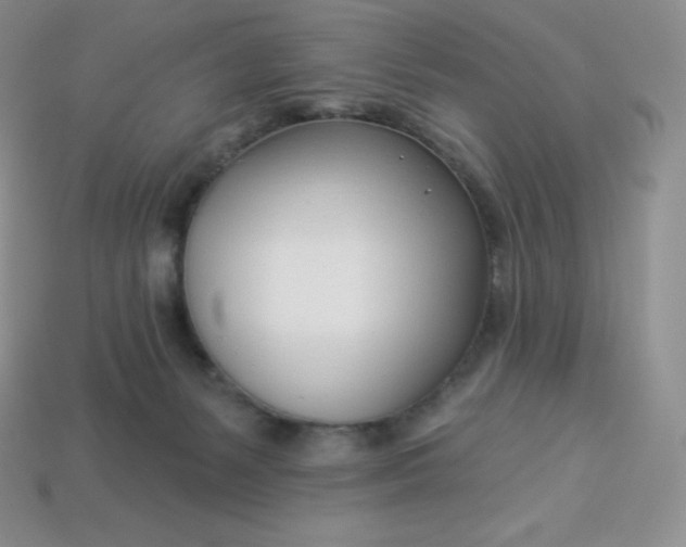 X0000113920127200910090944