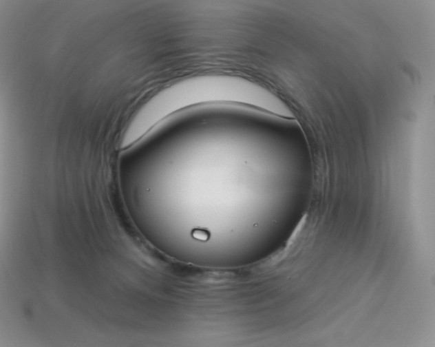 X0000113920128200910090944