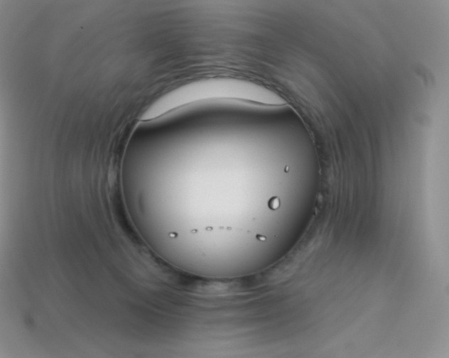 X0000113920129200910090944