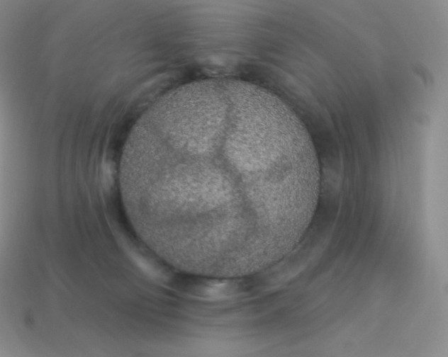 X0000113920130200910090944