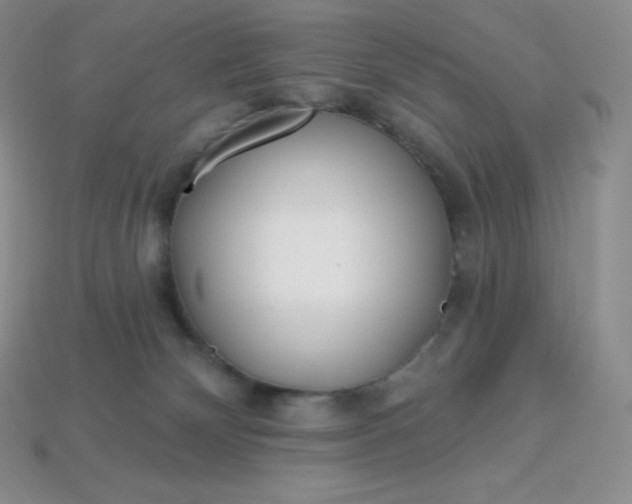 X0000113920132200910090944