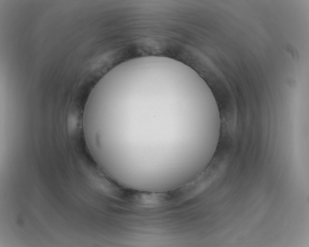 X0000113920134200910090944