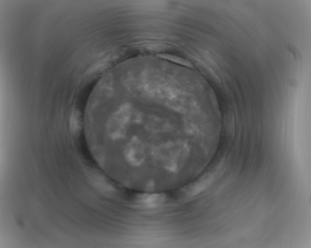 X0000113920135200910090944