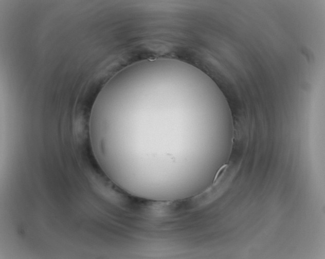X0000113920136200910090944