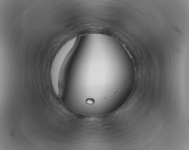 X0000113920137200910090944