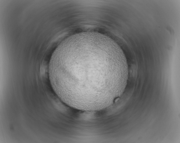 X0000113920138200910090944
