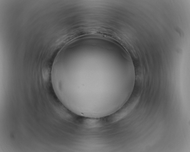 X0000113920139200910090944
