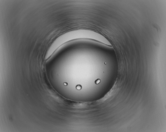 X0000113920140200910090944