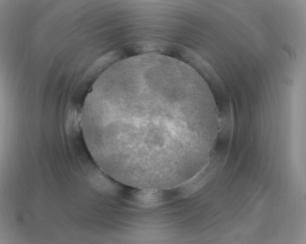 X0000113920142200910090944