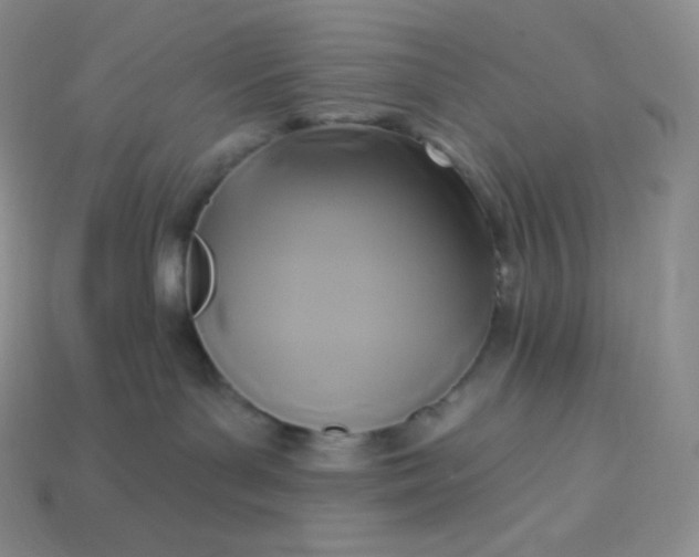 X0000113920143200910090944